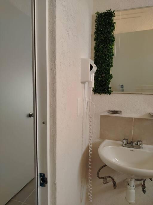 Xaman Ha Vacacional Con Piscina