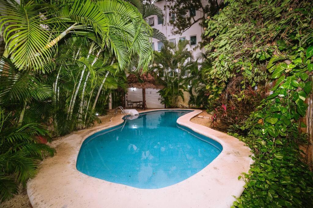 2br Apart Steps From Mamitas Beach And 5th Av Playa del Carmen