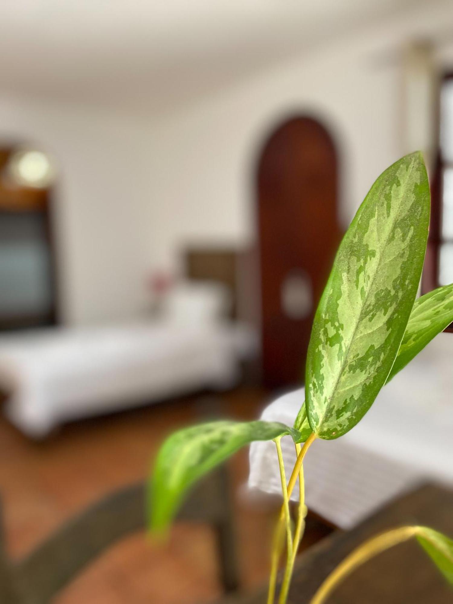 Bed and breakfast Casaejido