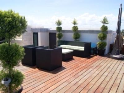 Apartment Lotus By Playa District