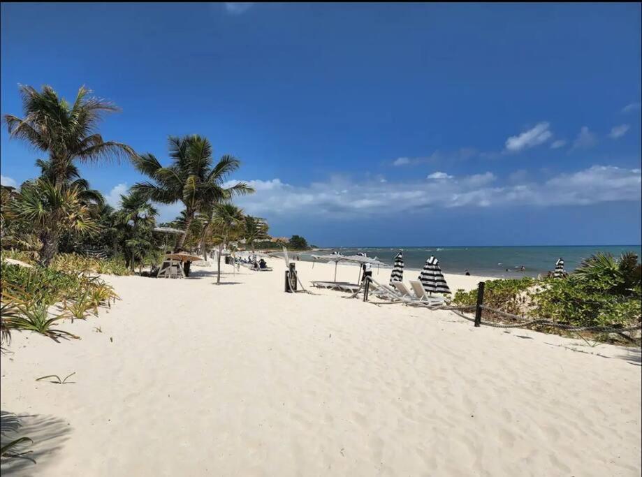 Oceanfront Walkout Pool Mareazul La Casa Bonita *