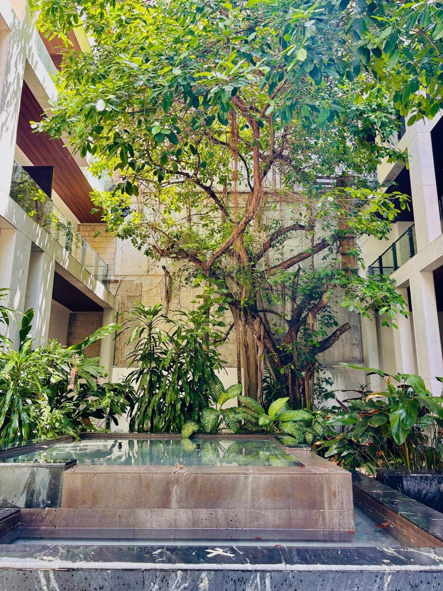 Holiday home Ipana 114c Fall In With *