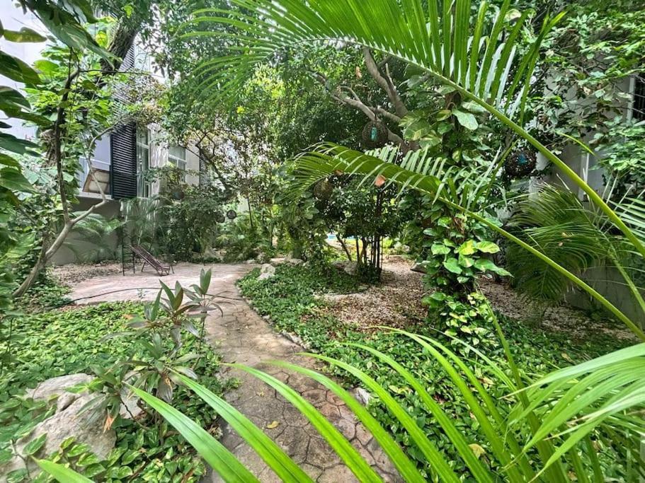 Depa En Centro Apartment
