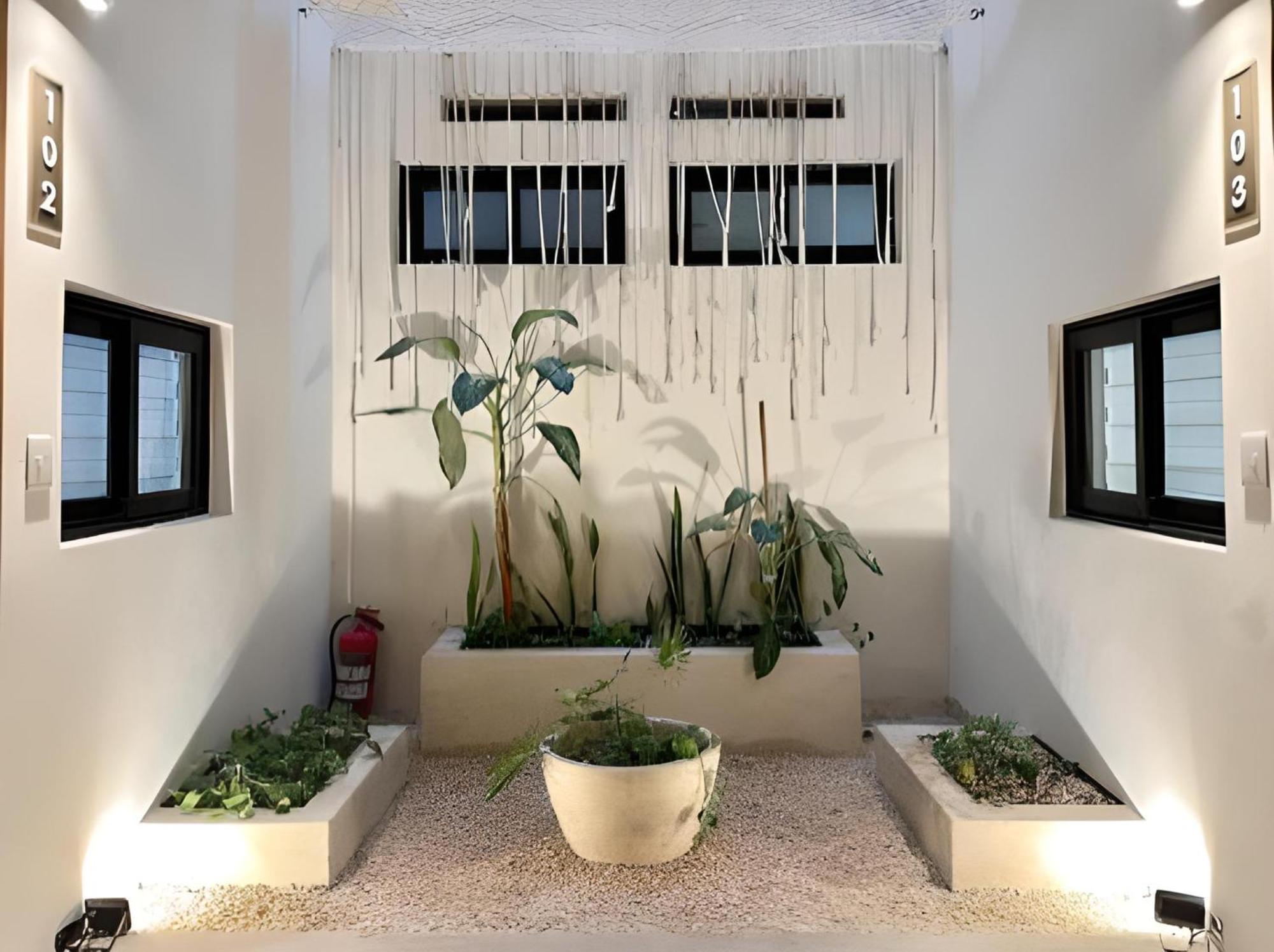 Levitat 32 Playa del Carmen