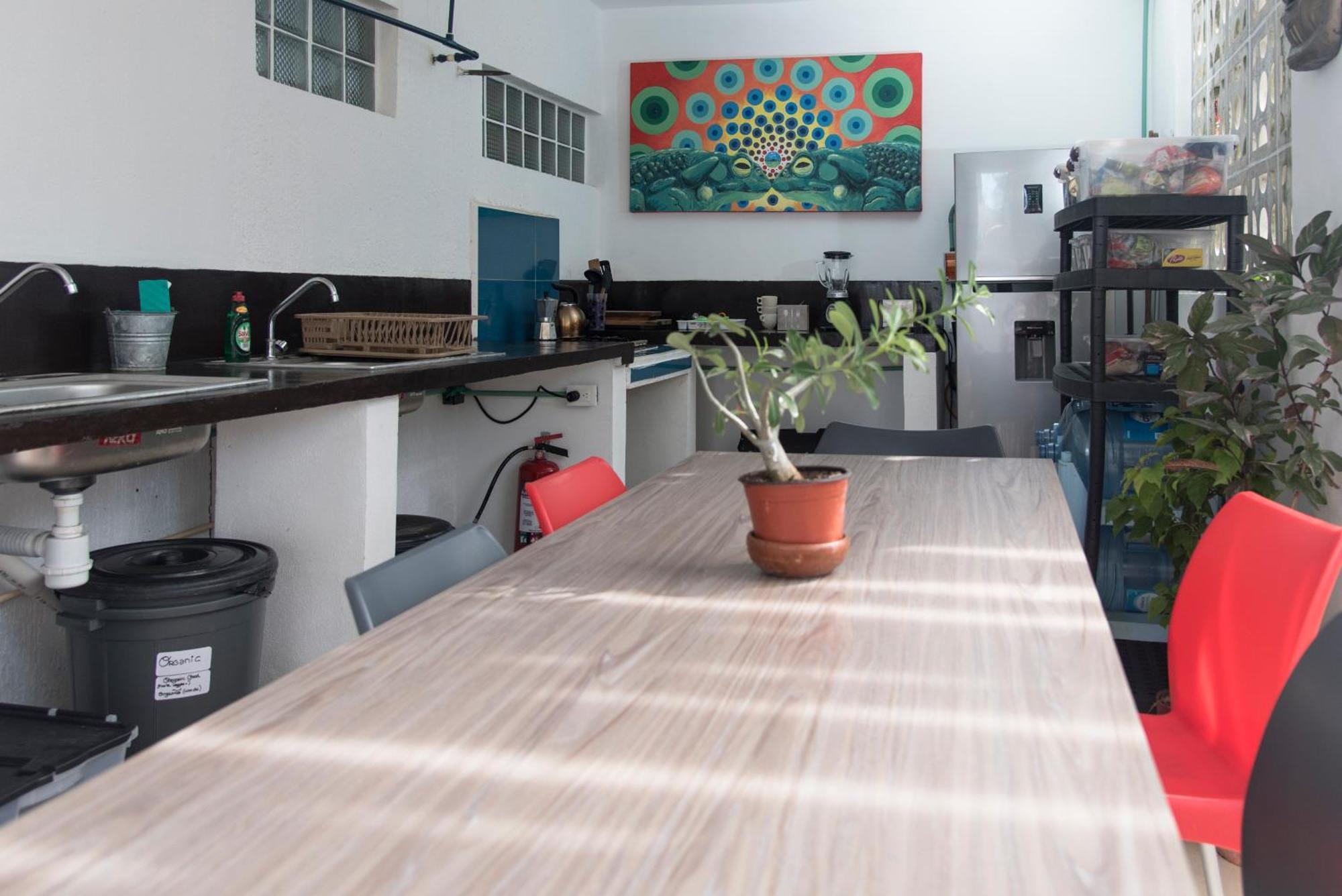 Casa Shambala Playa Homestay Playa del Carmen