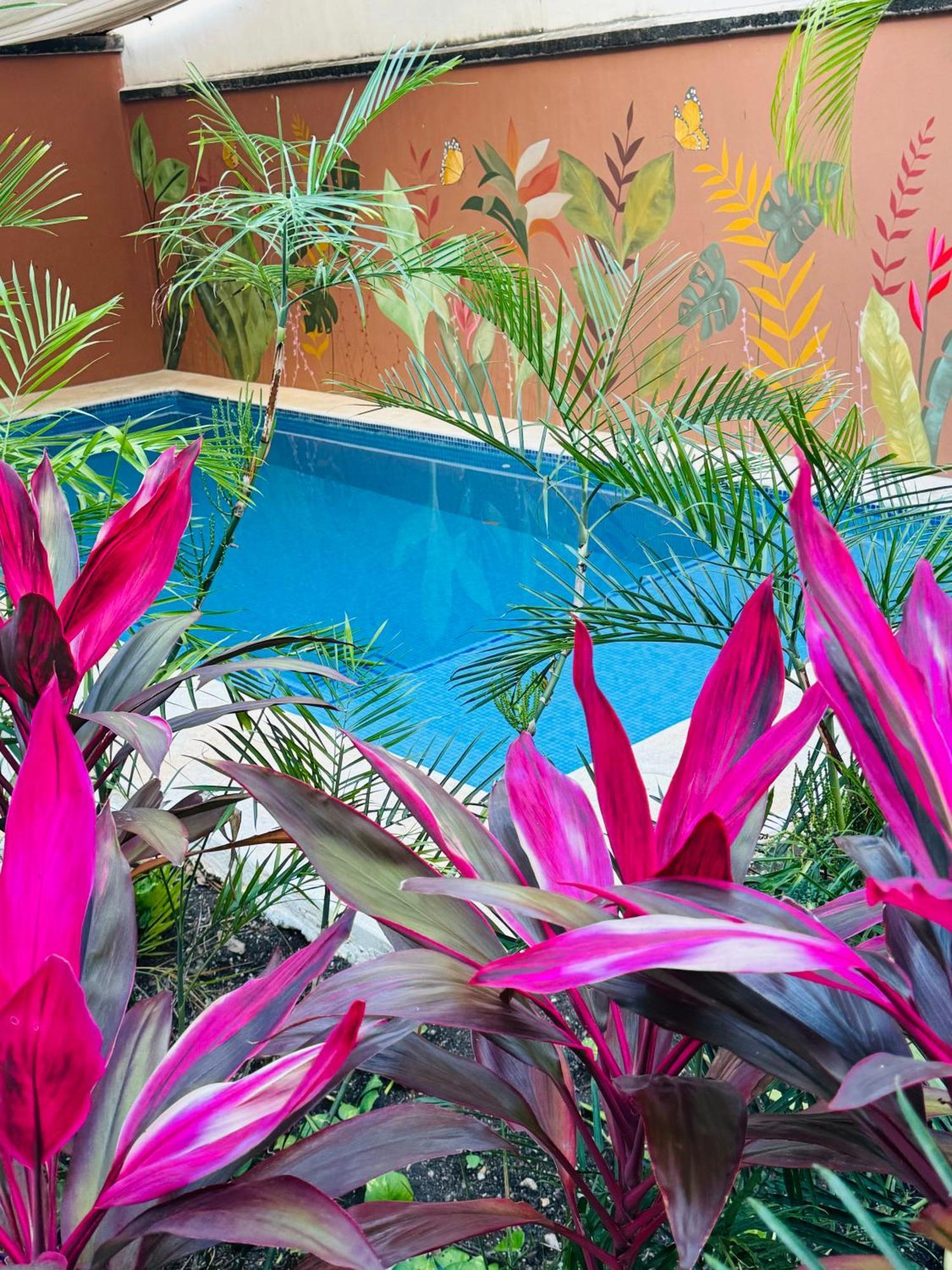 Bed & Breakfast Butterfly House Playa del Carmen