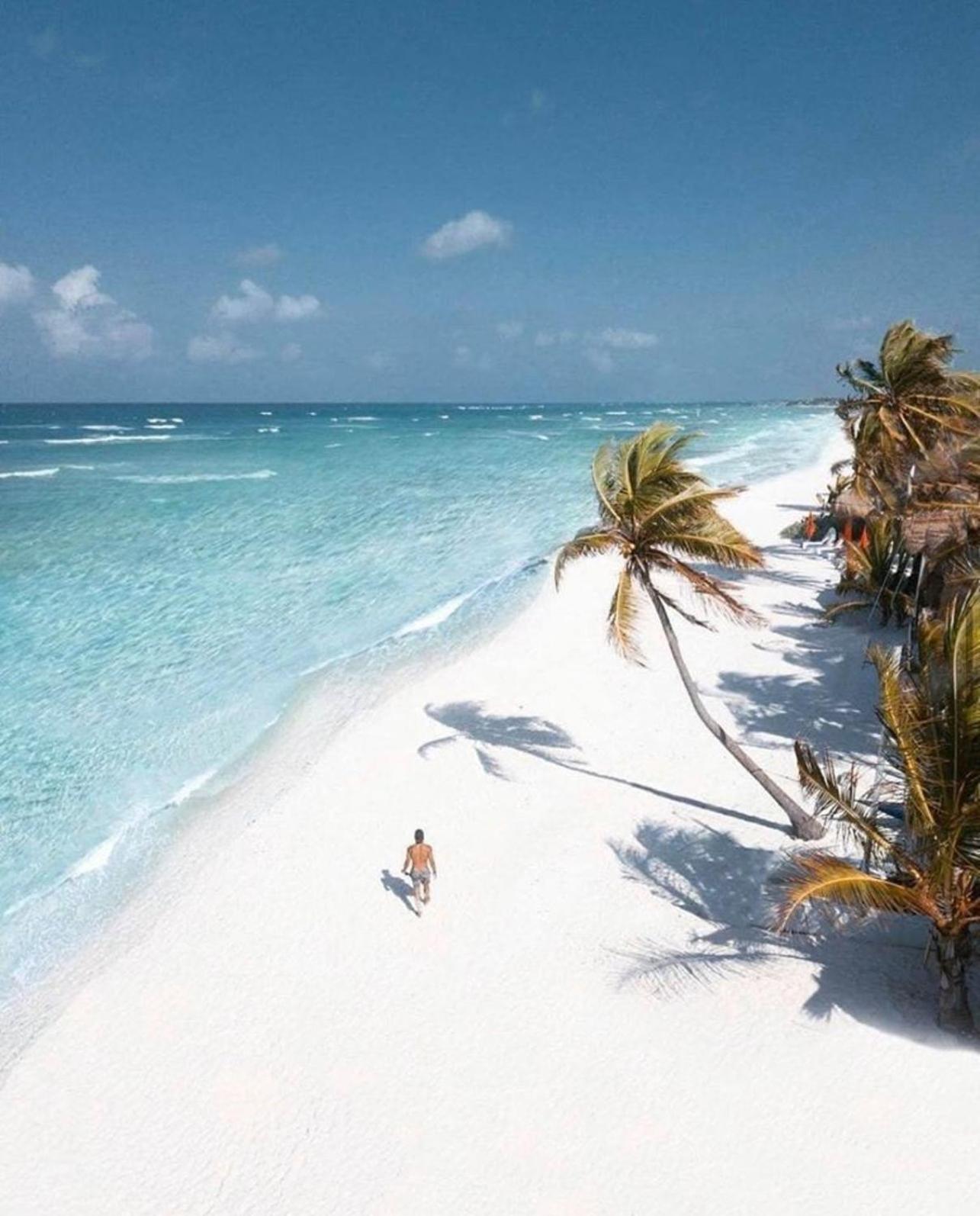Workation Paradise Gated, Wifi 500mb, Gym, Pool Holiday home Playa del Carmen