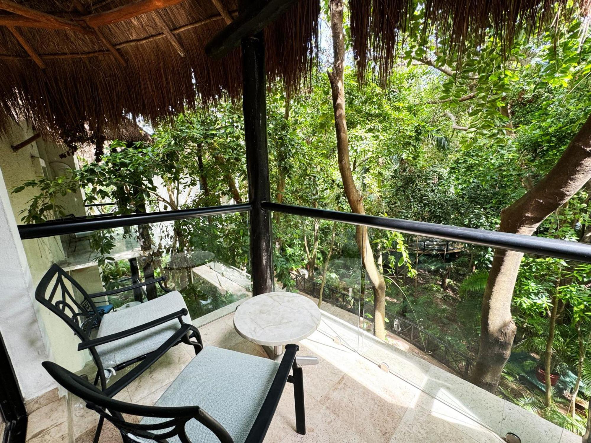 The Reef Playacar &