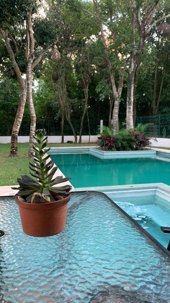 Villa Casa Ohana Playa del Carmen