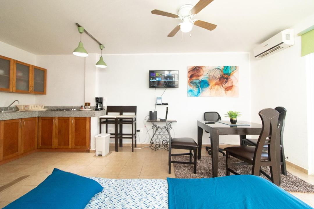 Large Penthouse , Private Terrace Apartment