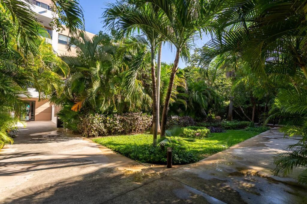 Apartment Ochoa 209 Luxury Private Club Playa del Carmen