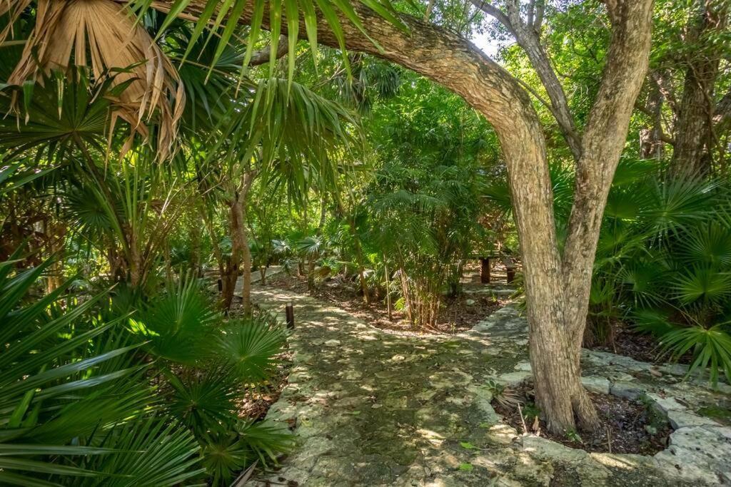 Apartment Ochoa 209 Luxury Private Club Playa del Carmen
