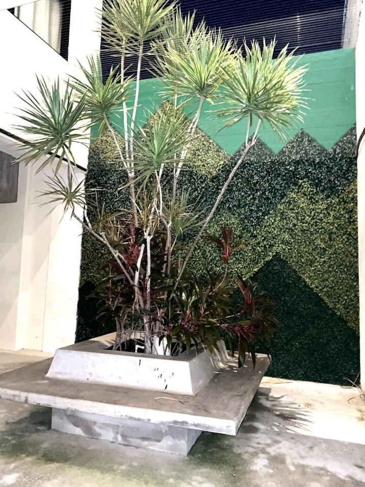Apartment Estudio Veranto Playa del Carmen