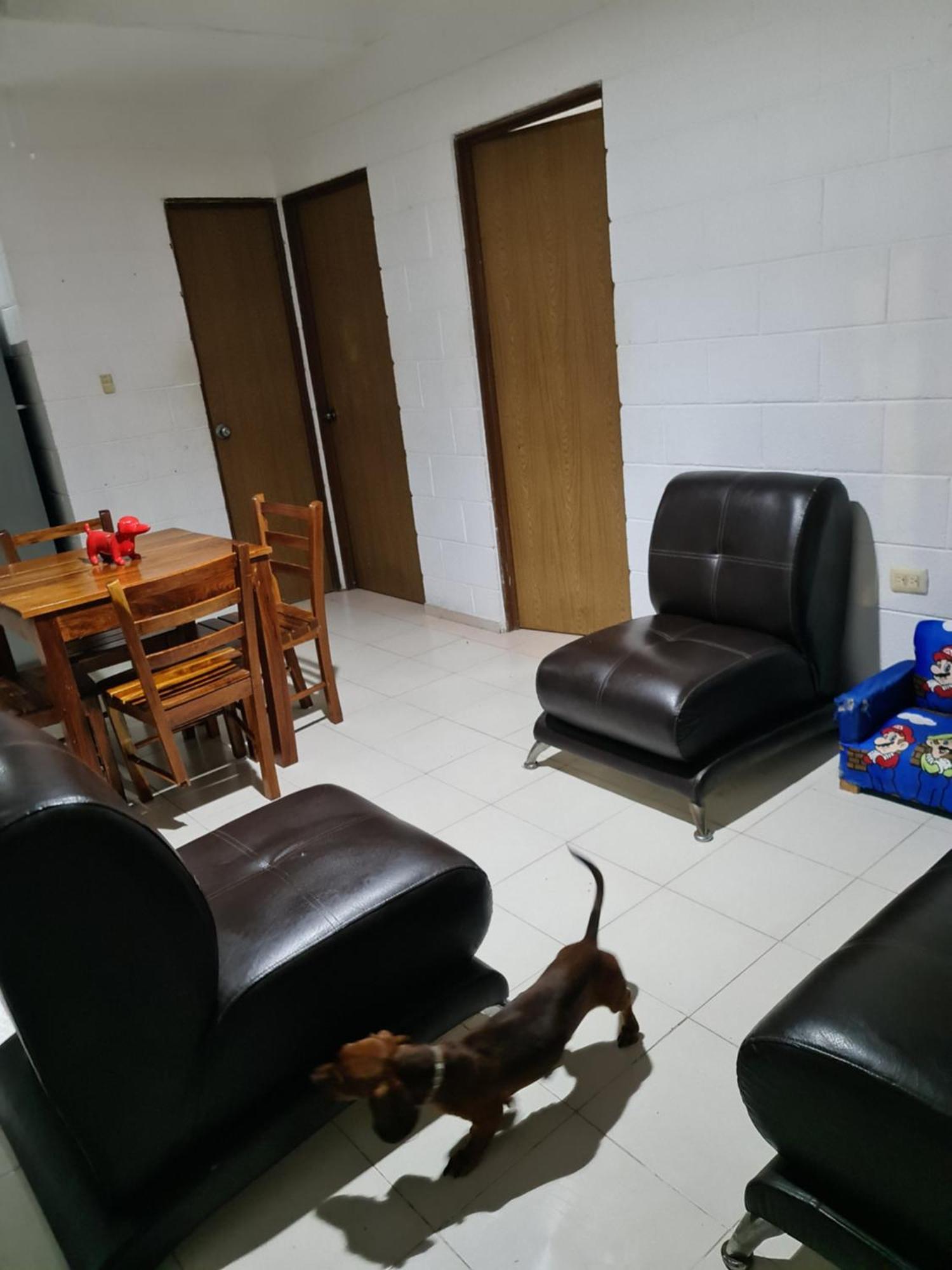 Casa Dachshound Campsite Playa del Carmen