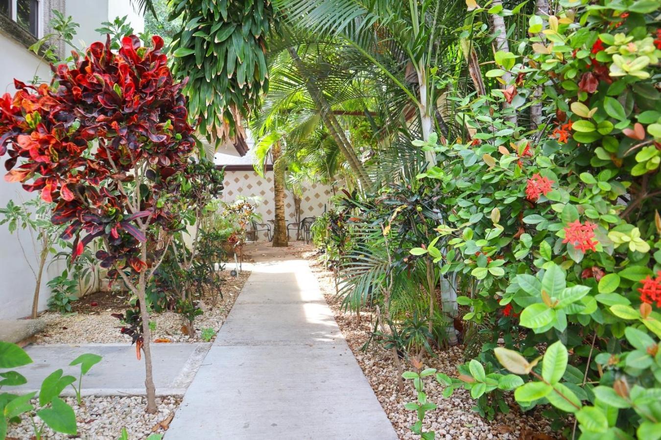 Apartment Close To Beach, Quinta,ferry To Cozumel And Xcaret *