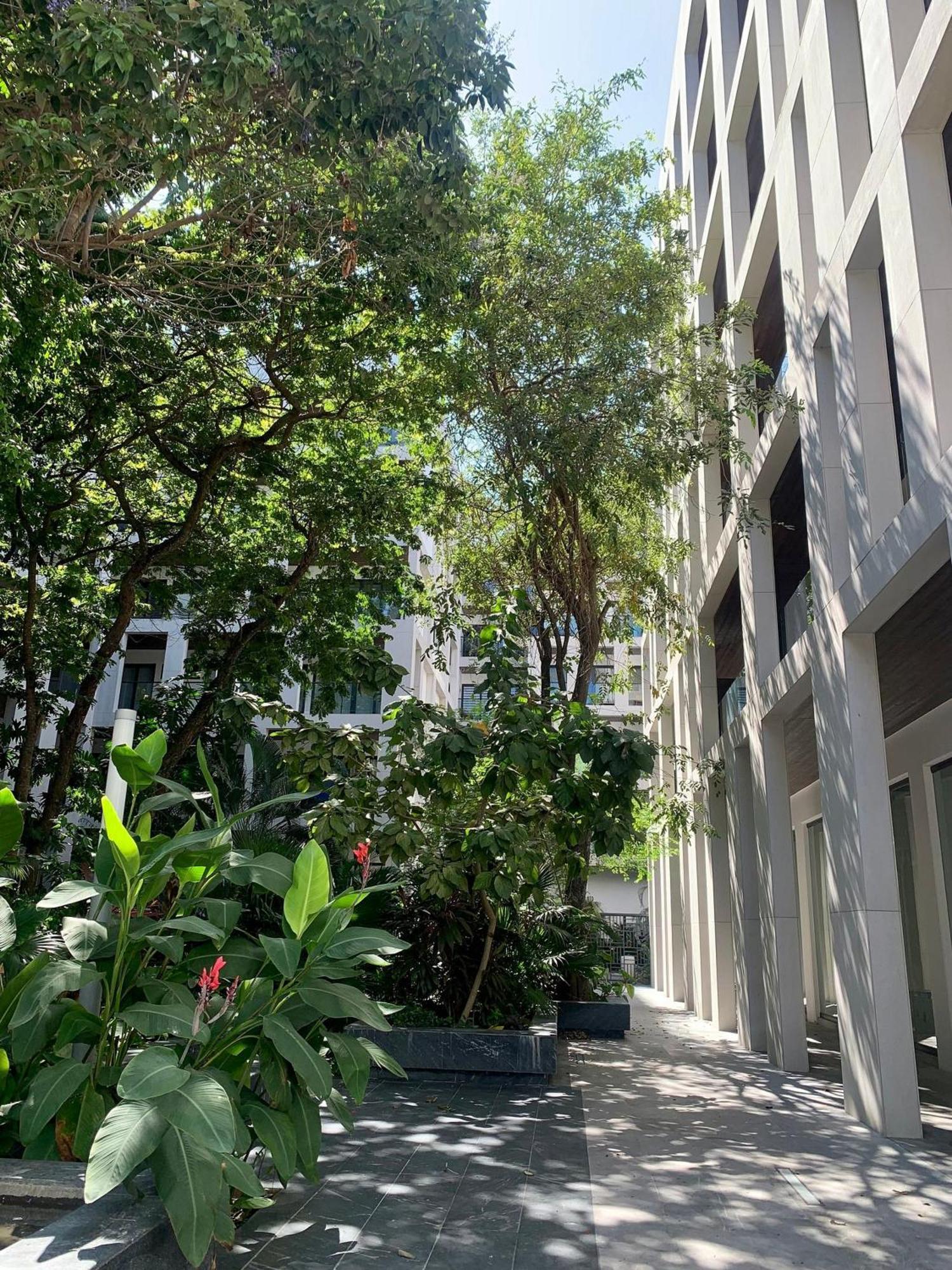 Ipana 2 Bedrooms 3 Blocks From The Sea. Vakantiehuis Playa del Carmen