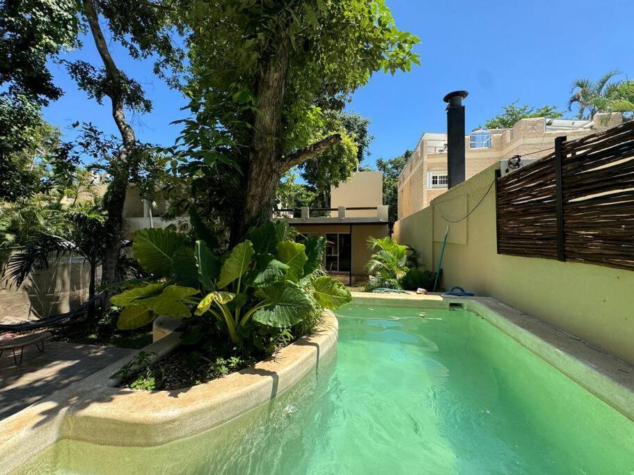 Lt 39 - Private Pool, Spacious Garden, Near Xcalacocobeach Holiday home Playa del Carmen