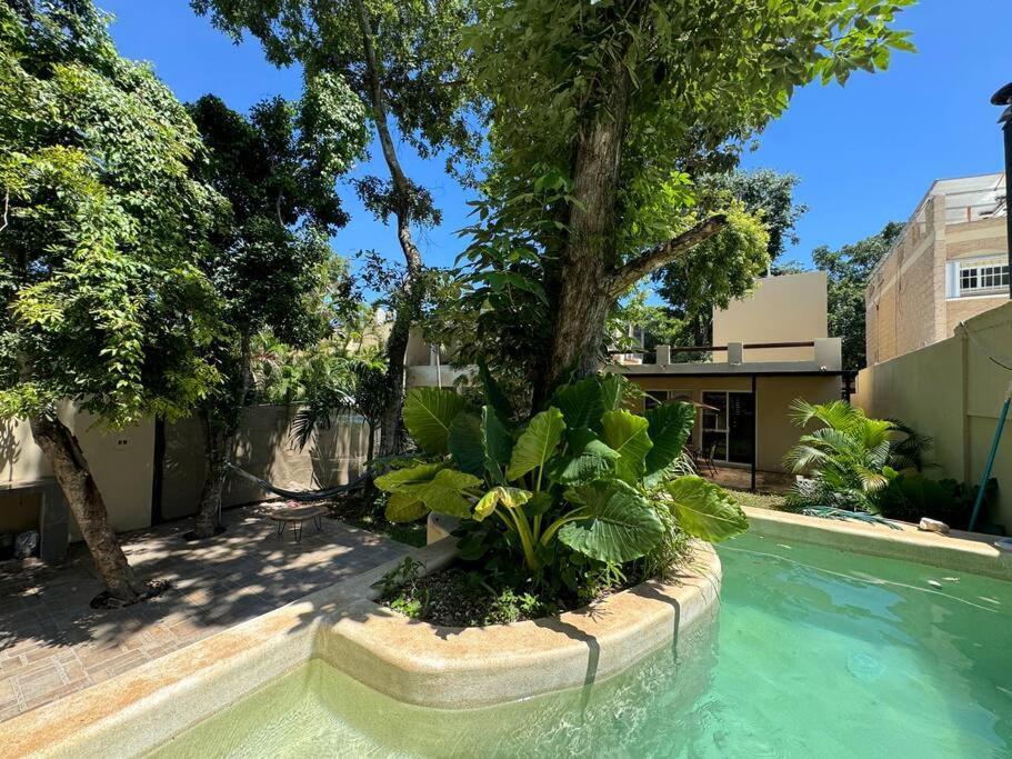 Holiday home Lt 39 - Private Pool, Spacious Garden, Near Xcalacocobeach Playa del Carmen