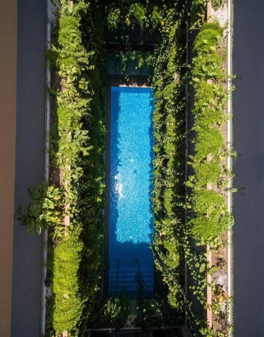 Moderno 1br Sauna Gimnasio Alberca A Cuadras De La 5ta Av Centro Apartment Playa del Carmen