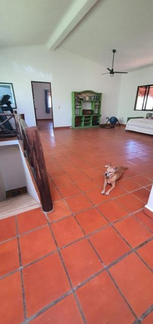 El Rincon Holiday home Playa del Carmen
