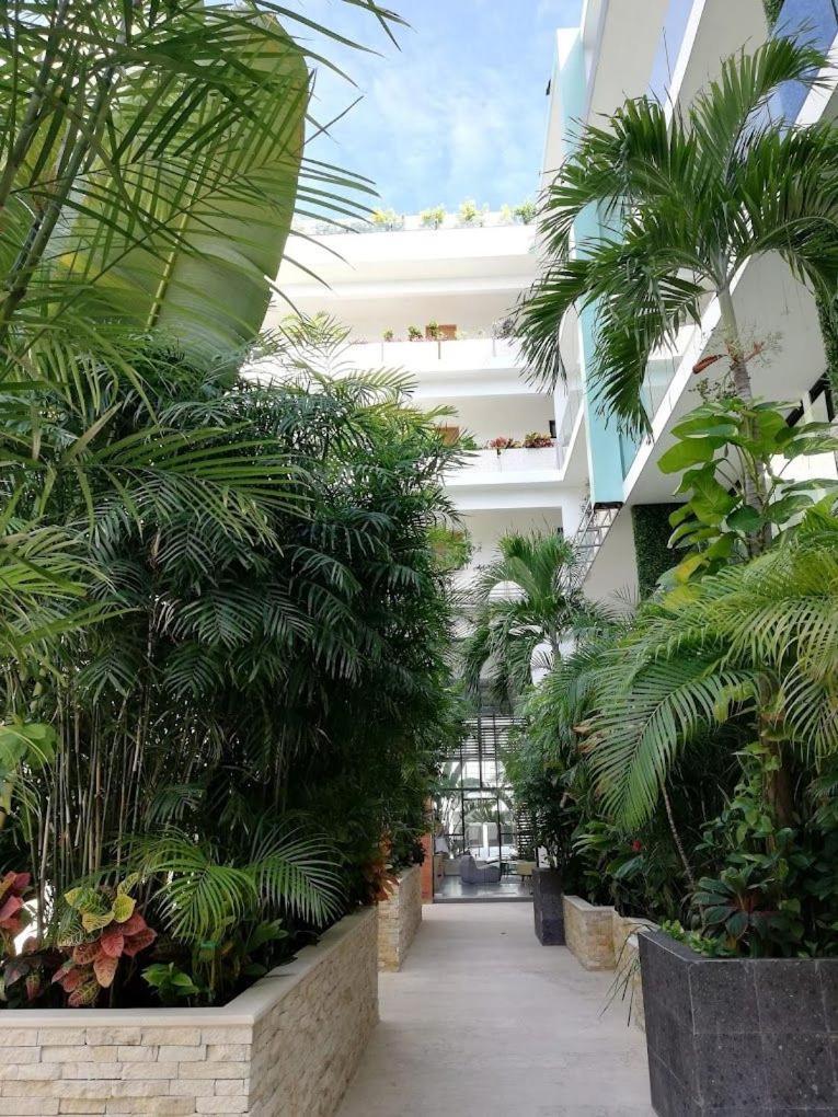 Aparthotel Aura With Balcony, Pool, Gym & Sauna