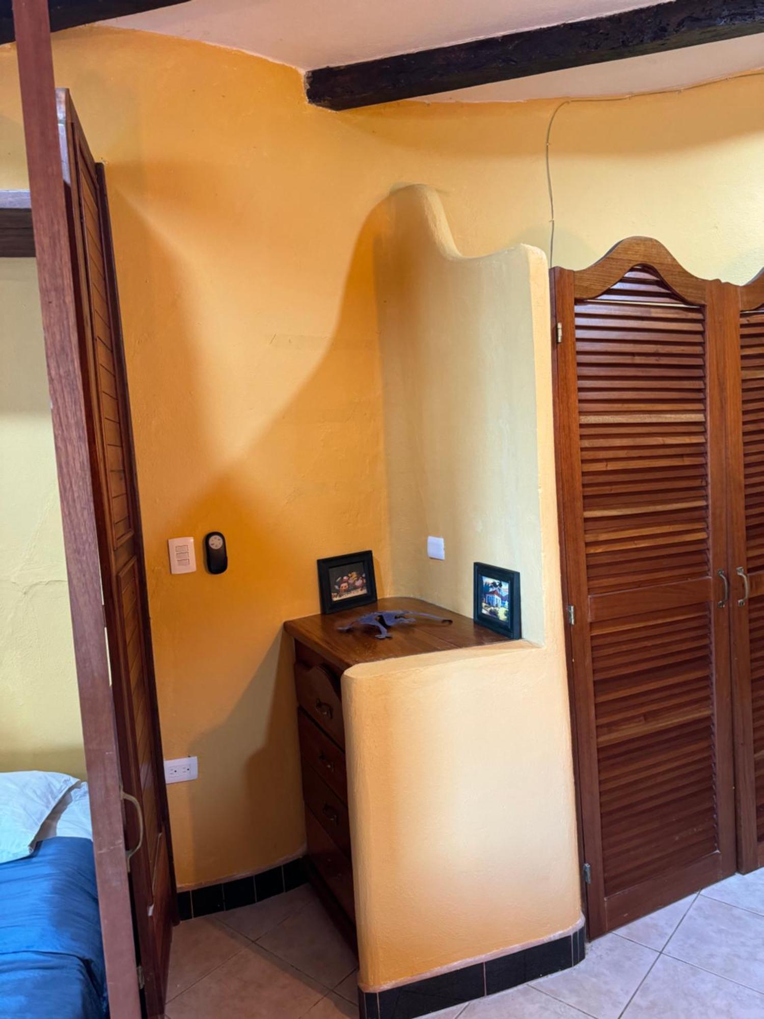 Jungle Meets On 5th Avenue Playa del Carmen