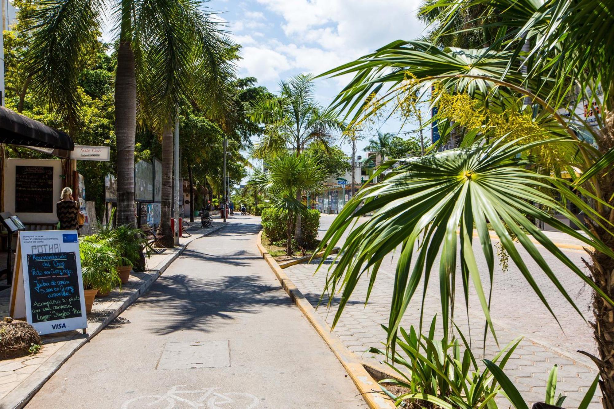 Appartement Best Penthouses&apartments In The Center Of Pdc!