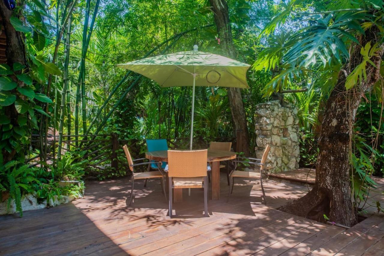 Xcaret Oasis Private Cave For 3