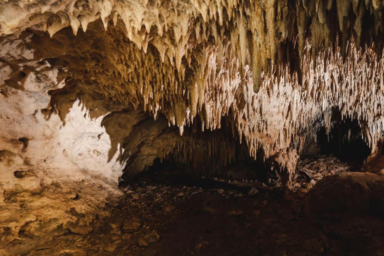 Luxury tent Xcaret Oasis Private Cave For 3 *