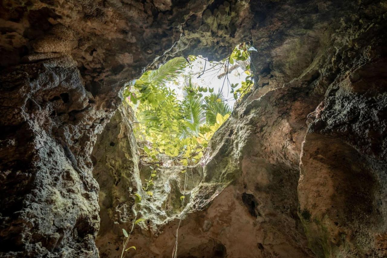 Luxury tent Xcaret Oasis Private Cave For 3