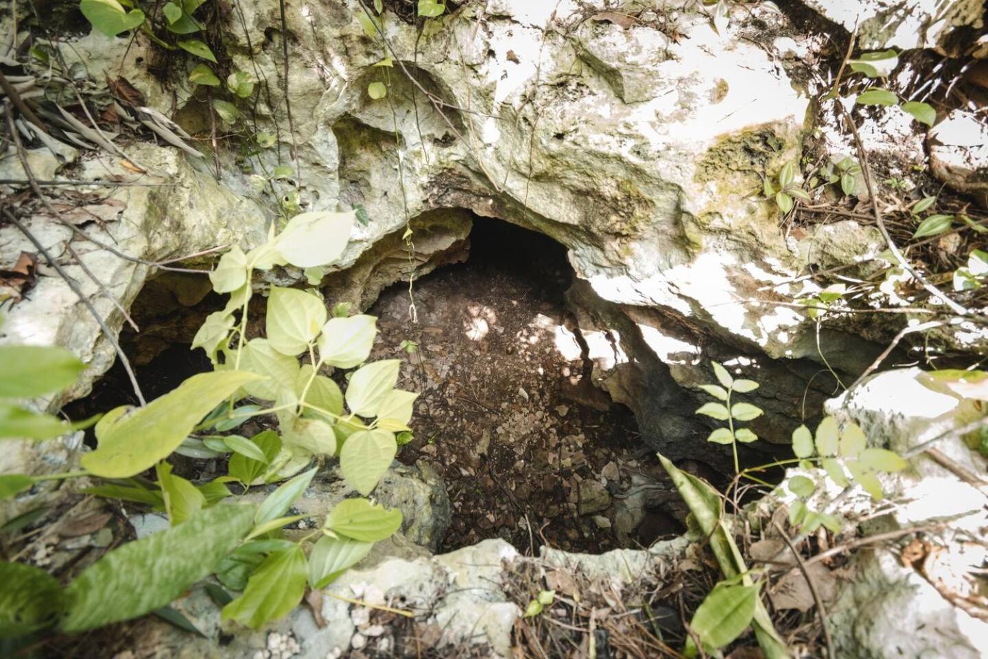Luxury tent Xcaret Monkeys And Nature Playa del Carmen