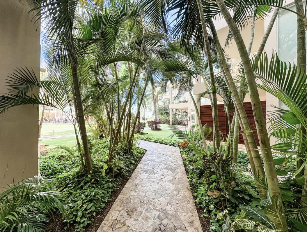 Apartment The Elements 2 Bedrooms Beachfront