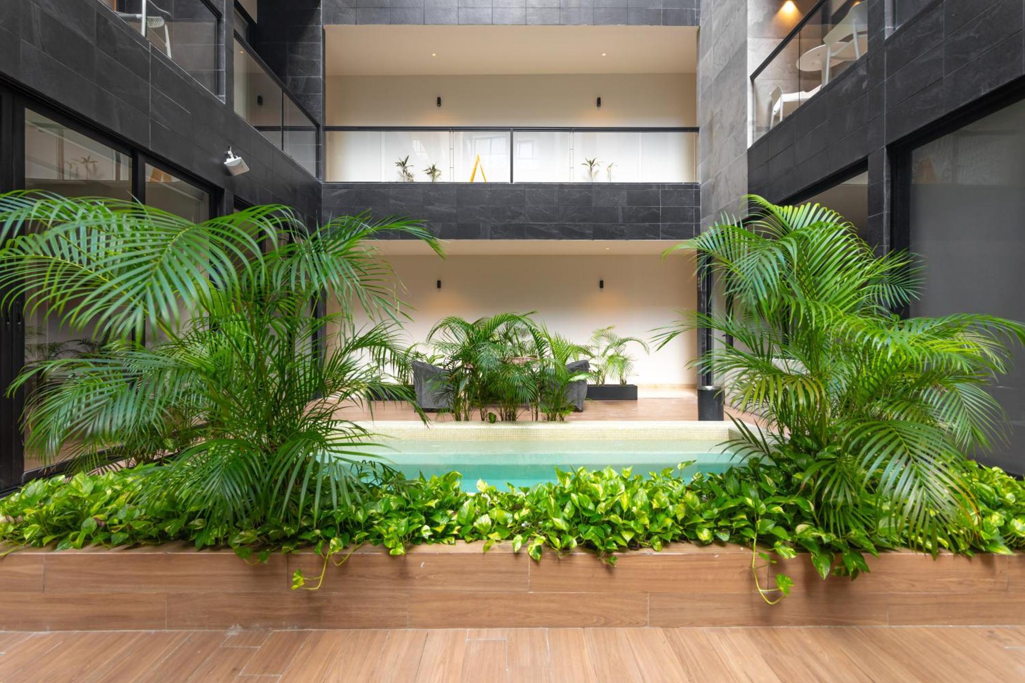 Musa Del Carmen By Boutique Mx Appartement *