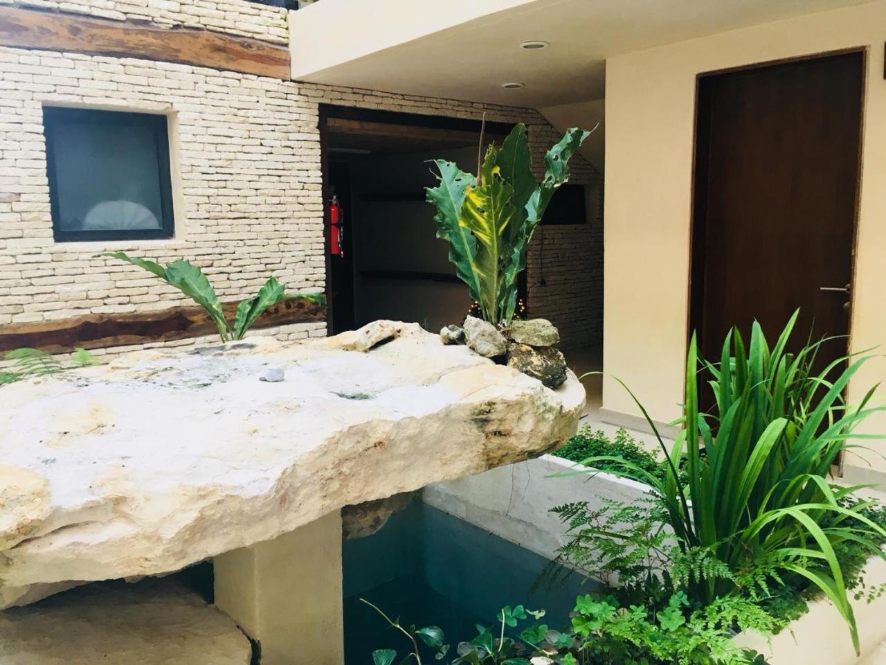 Downtown & Cozy Polo 15 Apartment Playa del Carmen