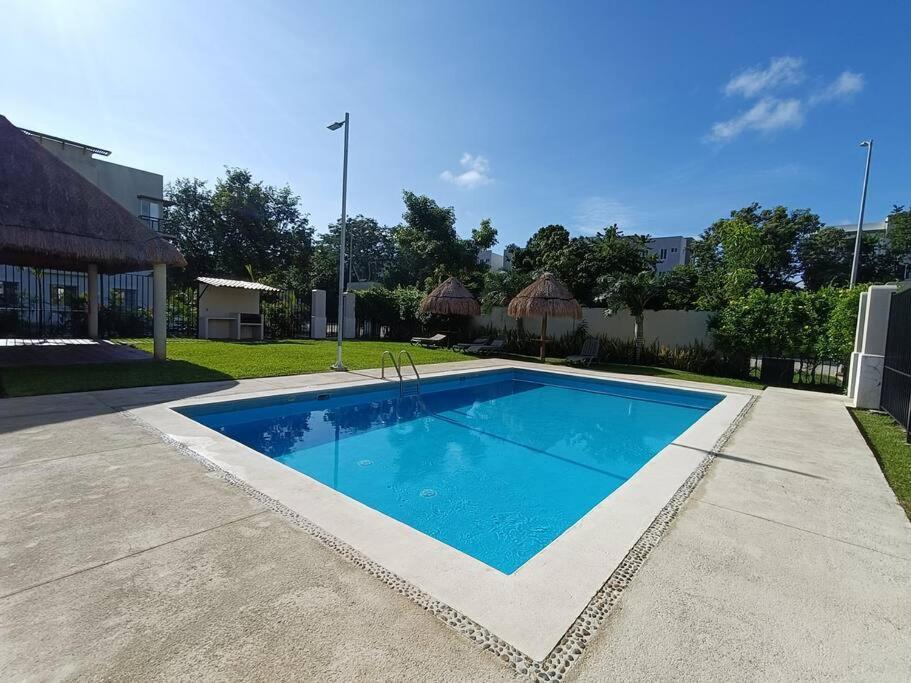 Departamento Colibri *