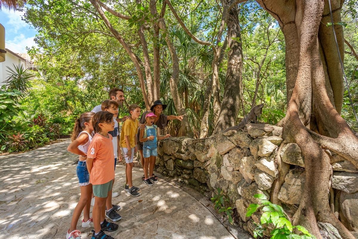 Resort Sandos Caracol Eco (adults Only) Playa del Carmen