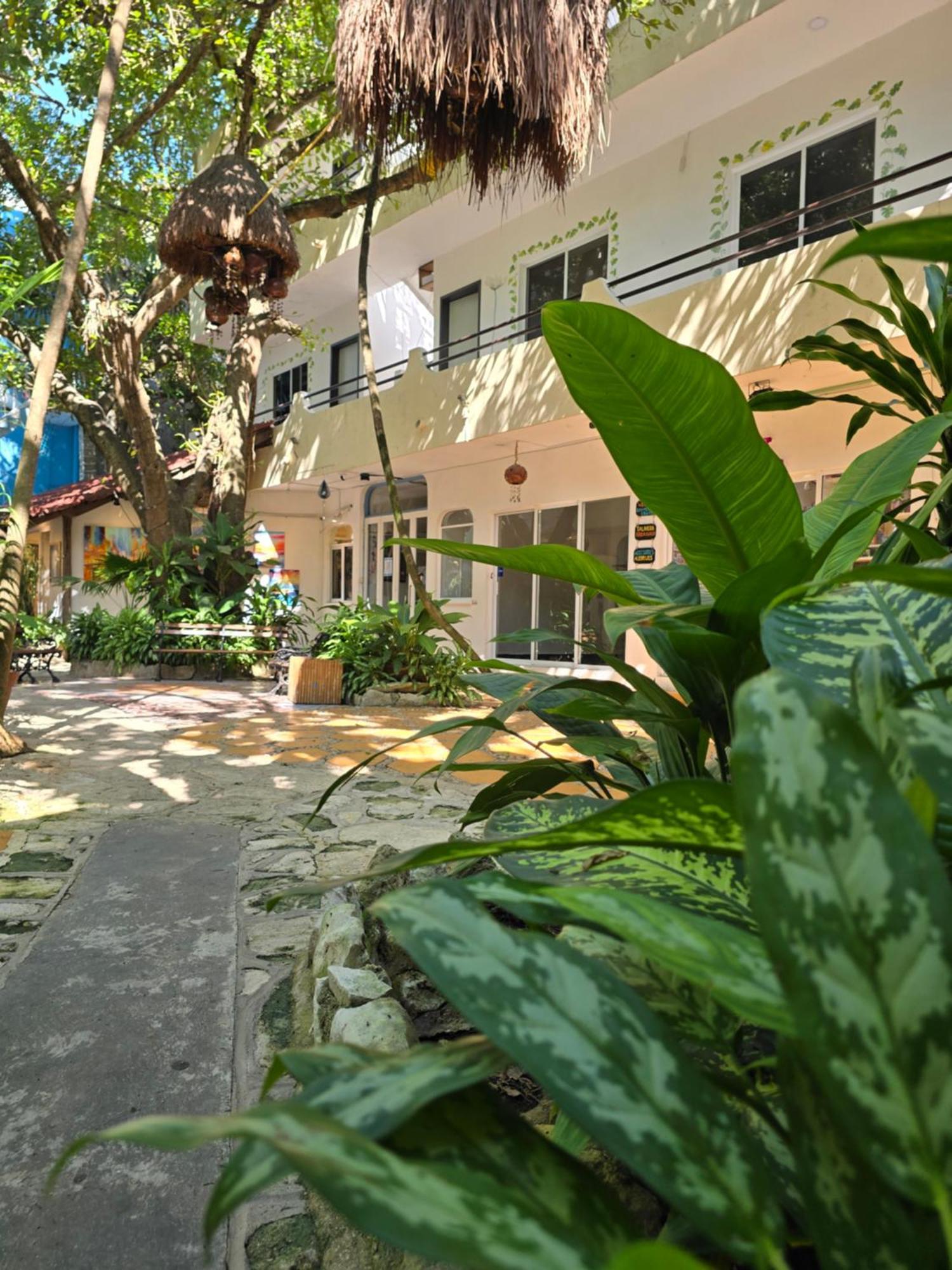 Ha Garden Gallery - 5th Avenue Hotel *