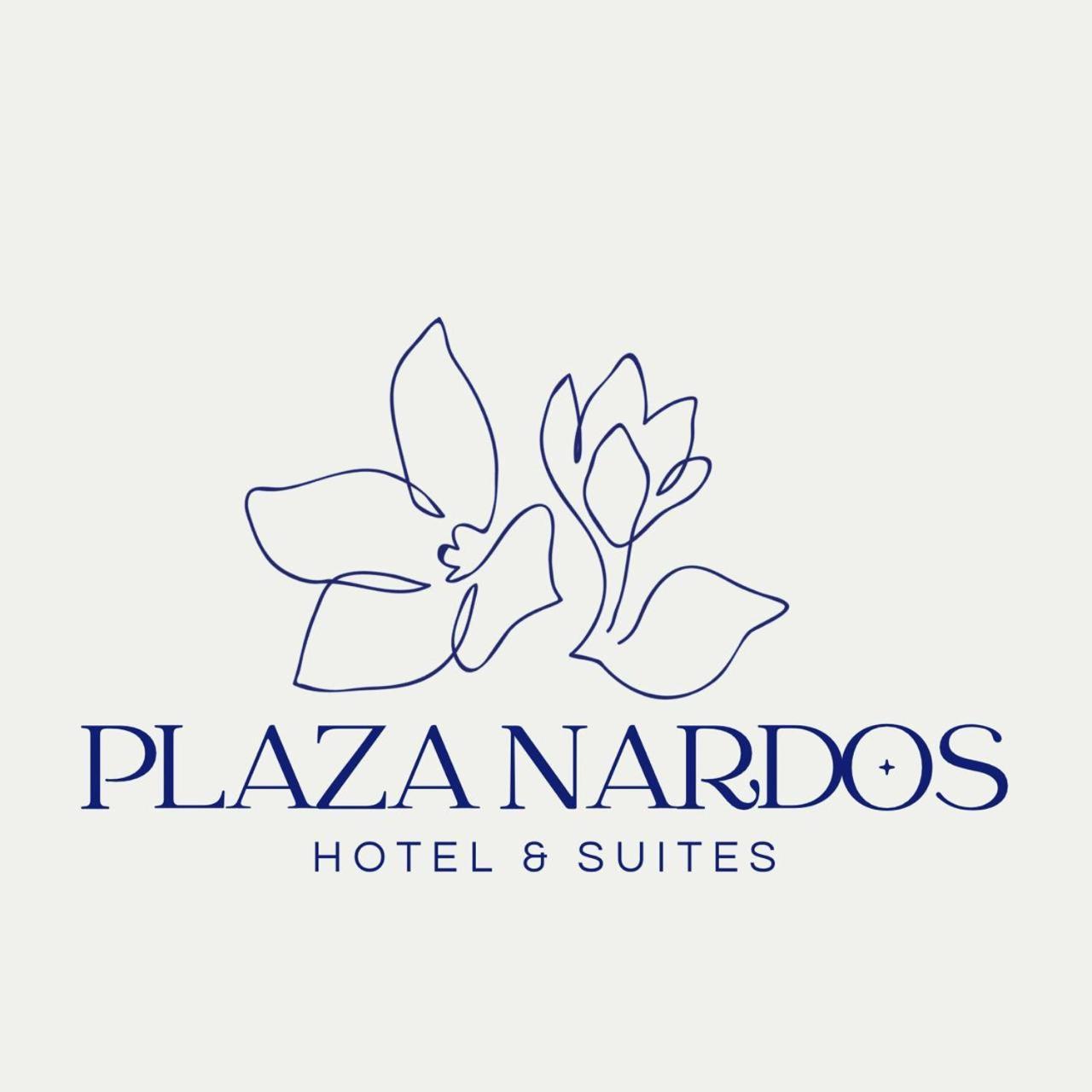Hotel Plaza Nardos Playa del Carmen