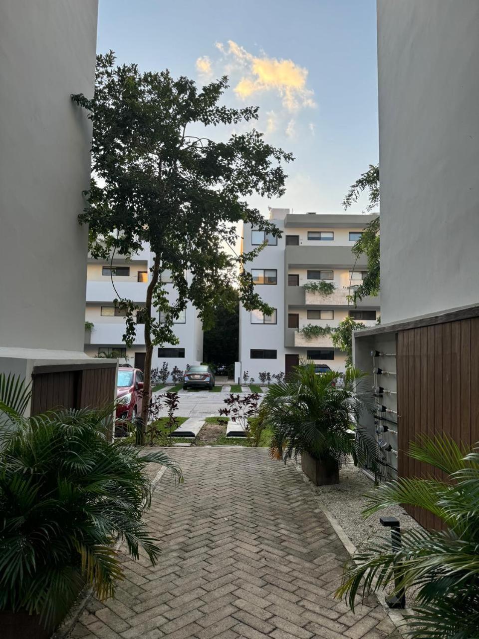 Apartment Departamento Mi Valeria Linda Playa del Carmen
