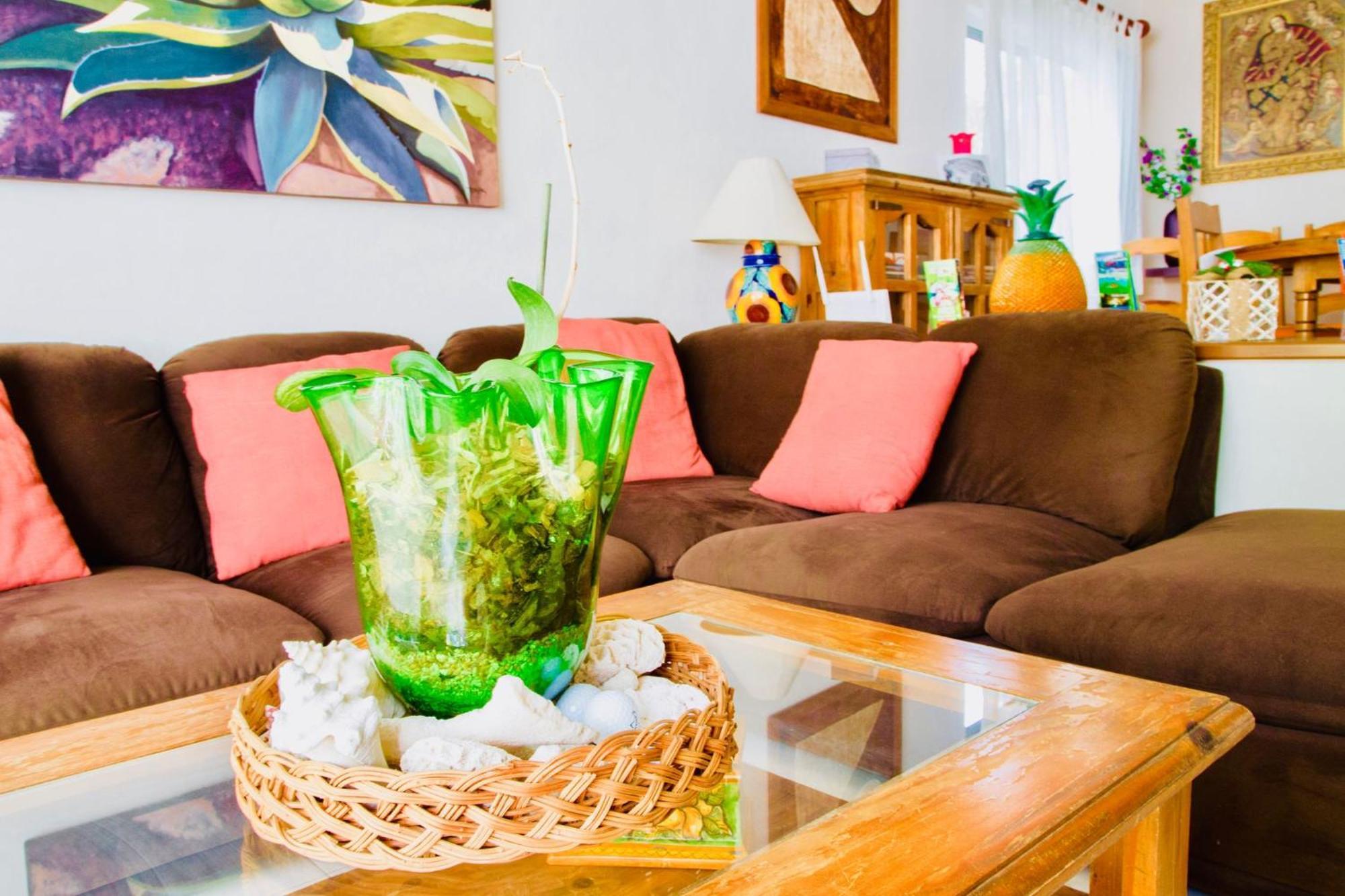 Executive Budget With Swimming Pool Air Conditioning And Parking Guest house