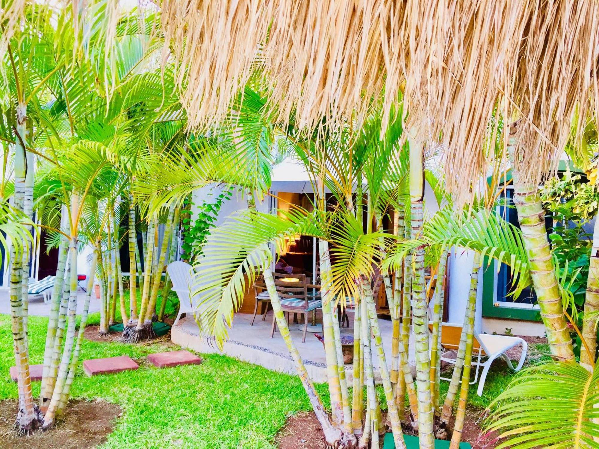Executive Budget With Swimming Pool Air Conditioning And Parking Playa del Carmen