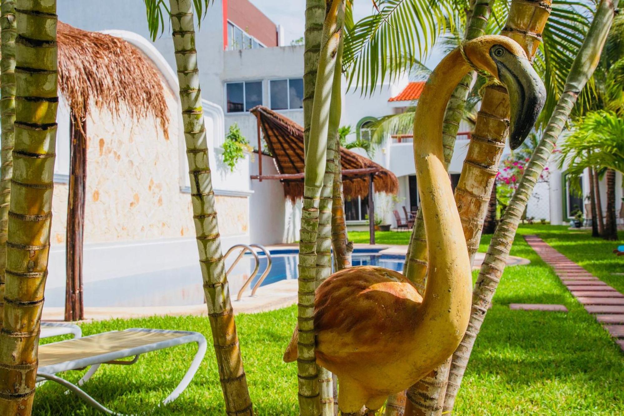 Executive Budget With Swimming Pool Air Conditioning And Parking Guest house Playa del Carmen