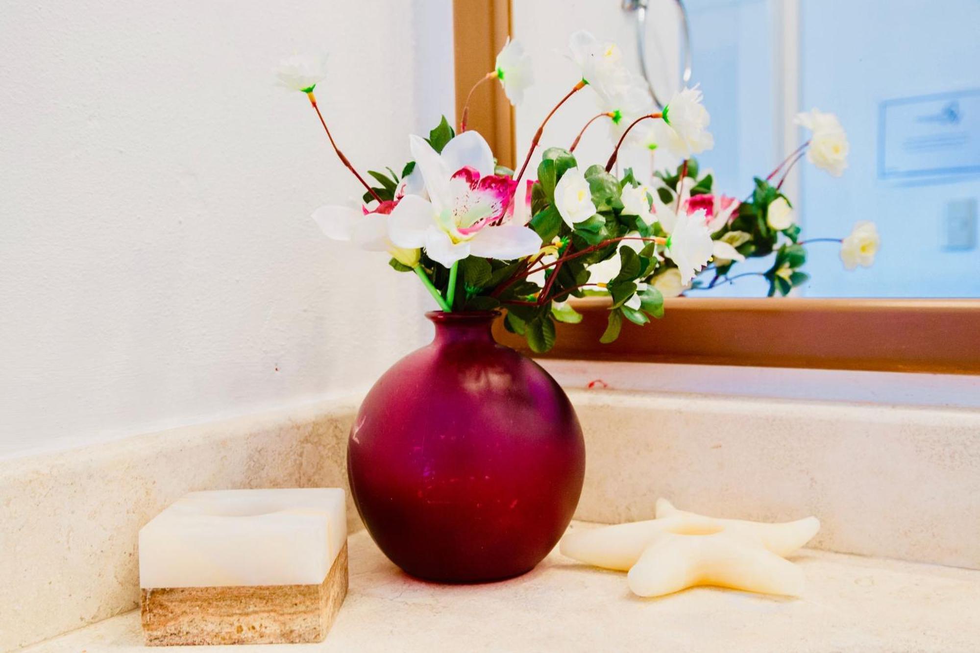 Guest house Executive Budget With Swimming Pool Air Conditioning And Parking Playa del Carmen