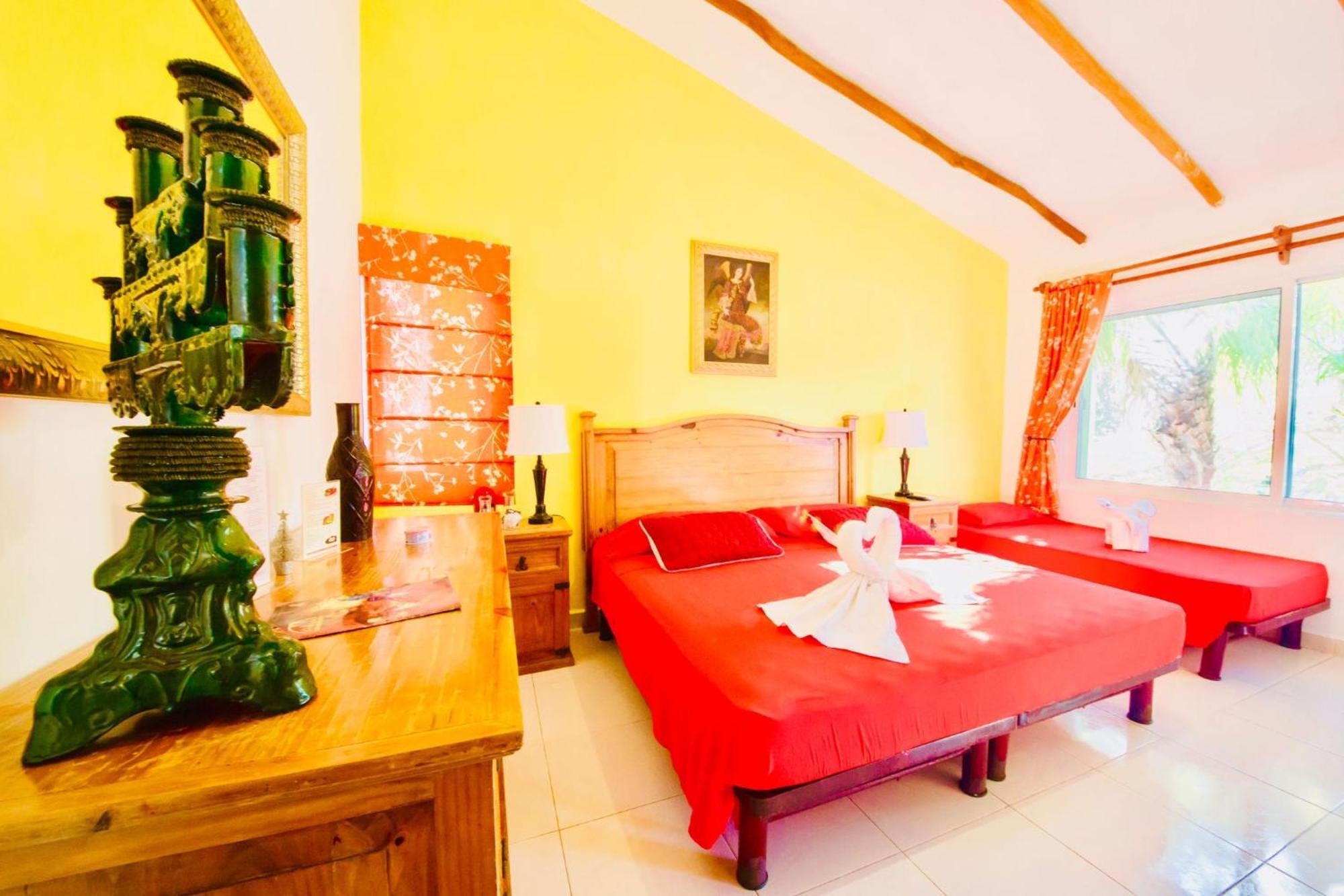 Executive Budget With Swimming Pool Air Conditioning And Parking Guest house