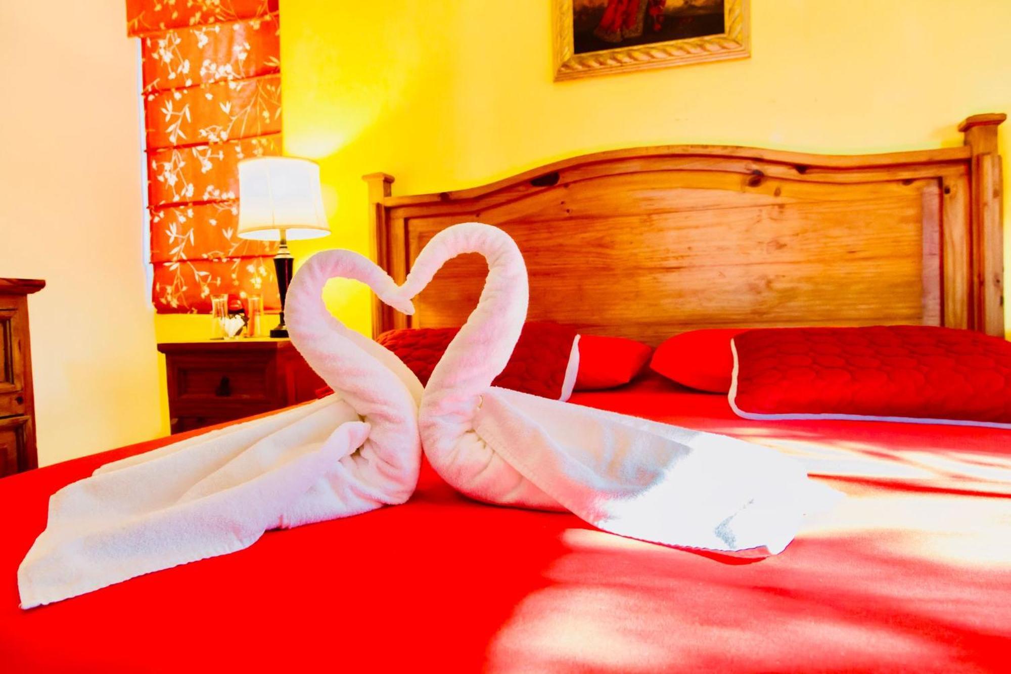 Guest house Executive Budget With Swimming Pool Air Conditioning And Parking