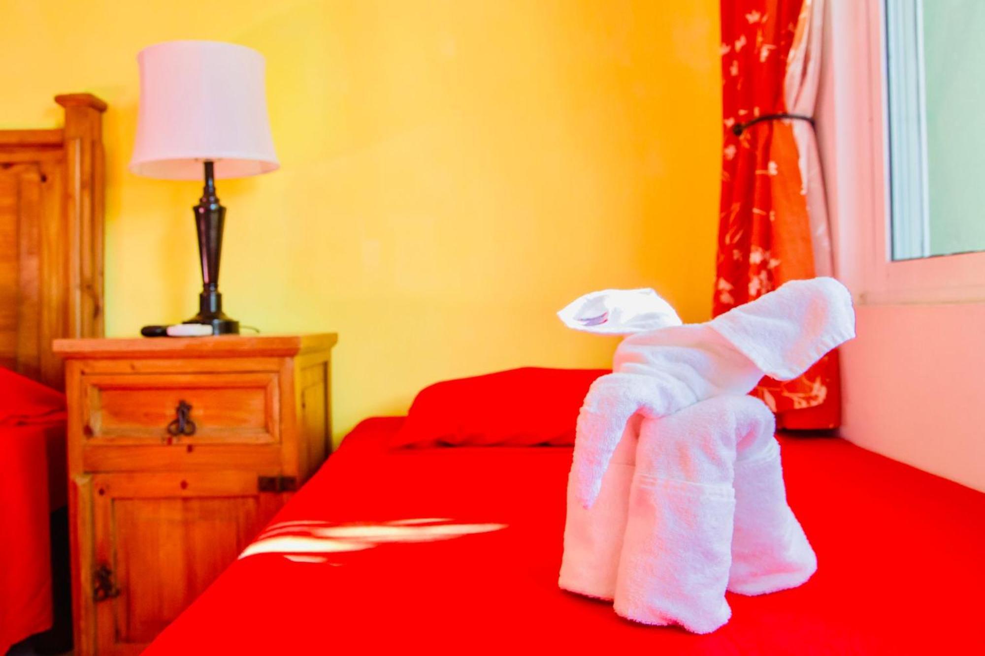 Executive Budget With Swimming Pool Air Conditioning And Parking Guest house Playa del Carmen