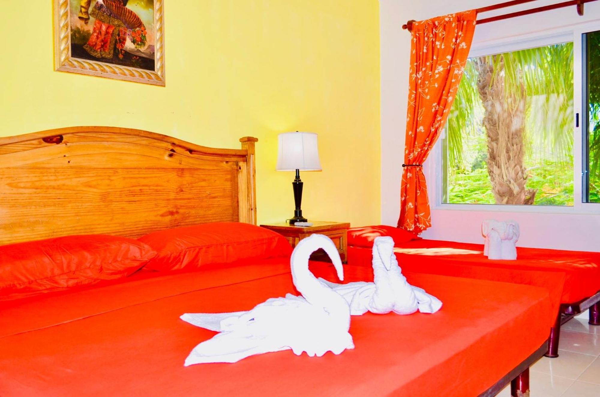 Guest house Executive Budget With Swimming Pool Air Conditioning And Parking Playa del Carmen