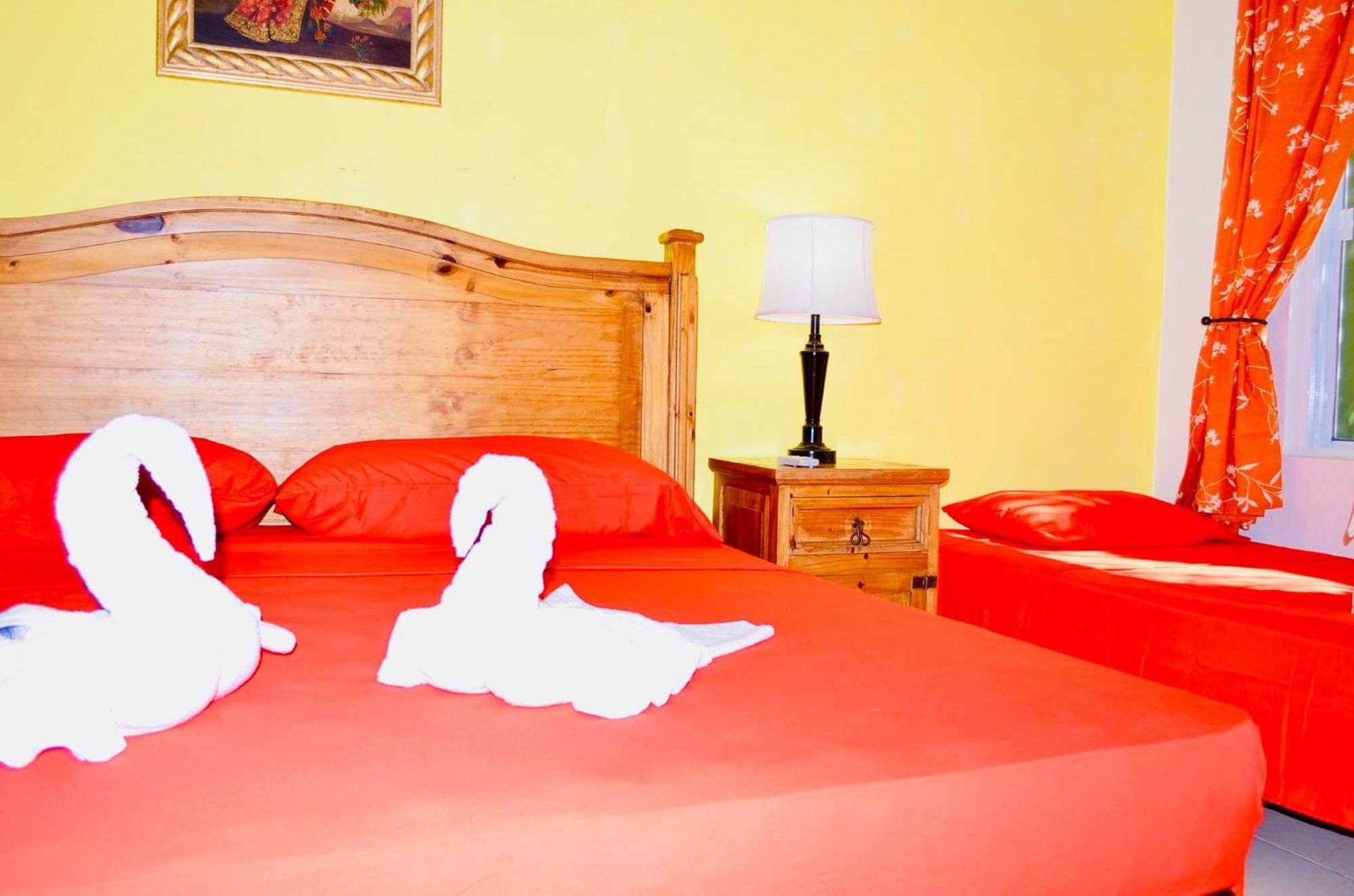 Executive Budget With Swimming Pool Air Conditioning And Parking Guest house *