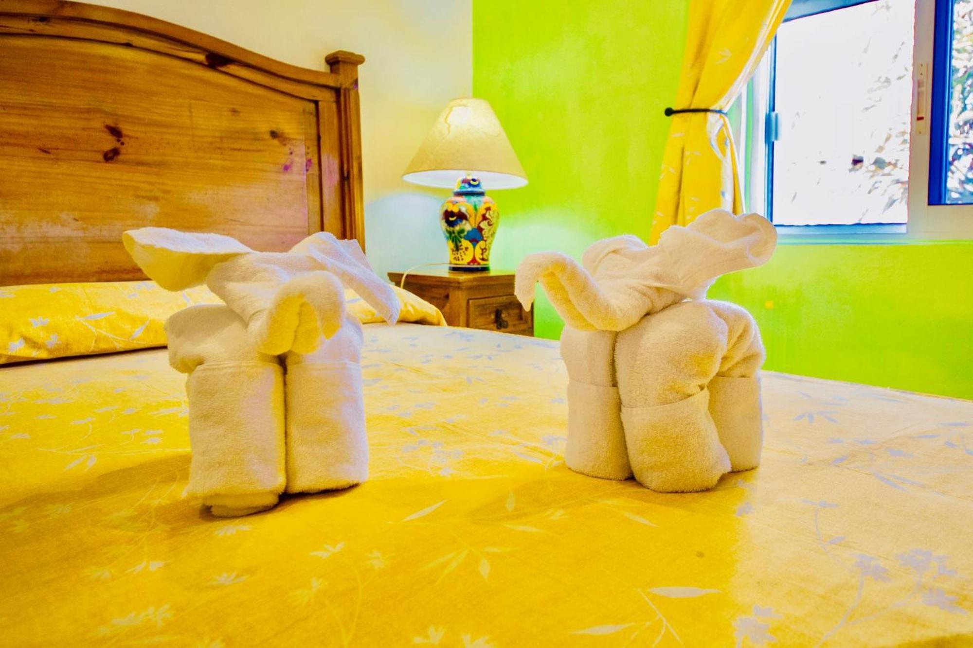 Gorgeous 22 People With Pool Playacar Phase 2 Villa Playa del Carmen