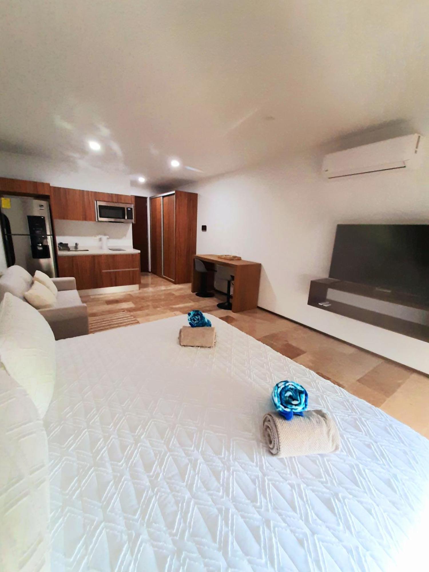 Moderno, Ubicacion Y Amenidades, Todo En Uno Apartment